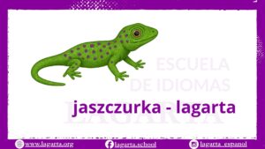 polaco online