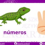 Liczby po hiszpańsku – números
